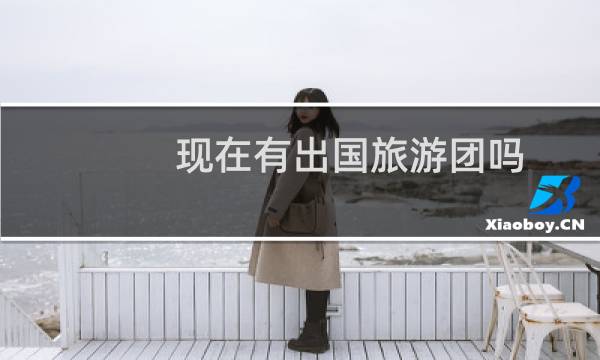 现在有出国旅游团吗