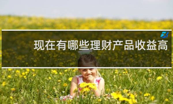 现在有哪些理财产品收益高