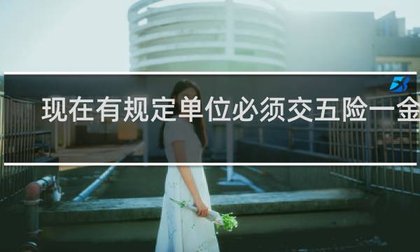 现在有规定单位必须交五险一金吗
