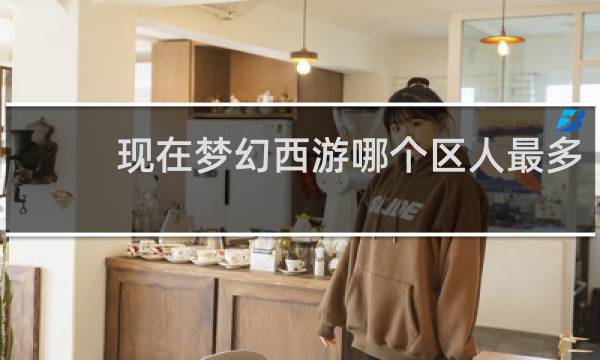 现在梦幻西游哪个区人最多
