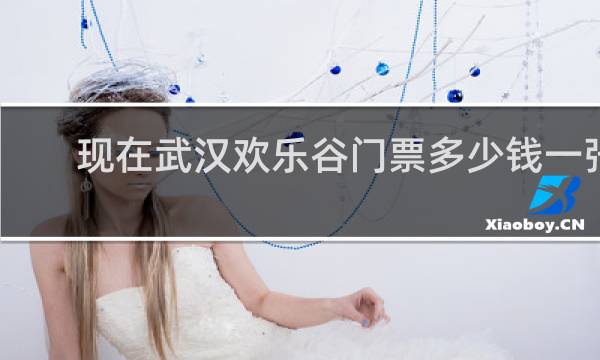 现在武汉欢乐谷门票多少钱一张