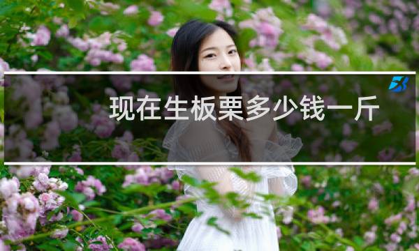 现在生板栗多少钱一斤