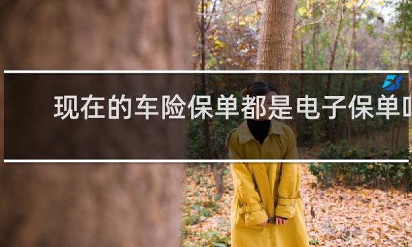现在的车险保单都是电子保单吗