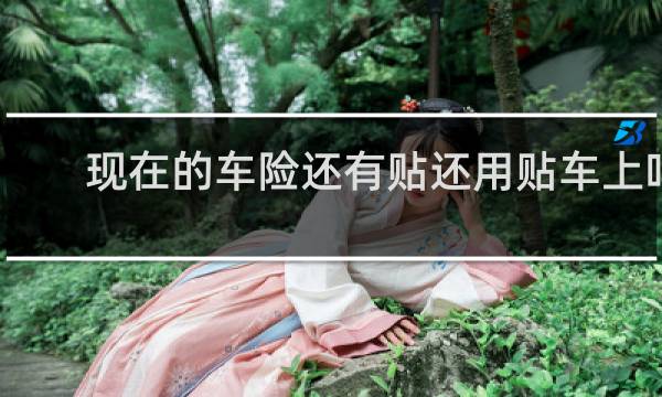 现在的车险还有贴还用贴车上吗