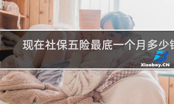 现在社保五险最底一个月多少钱