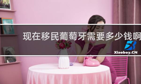 现在移民葡萄牙需要多少钱啊