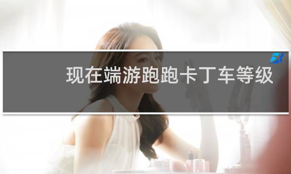 现在端游跑跑卡丁车等级