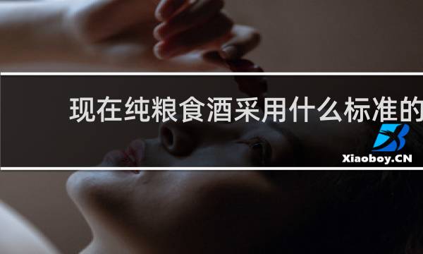 现在纯粮食酒采用什么标准的