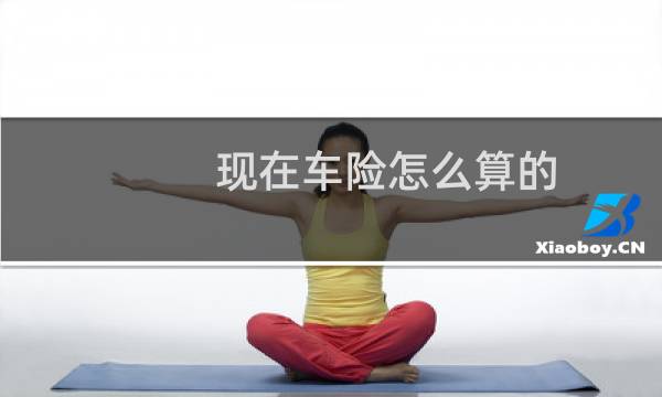 现在车险怎么算的