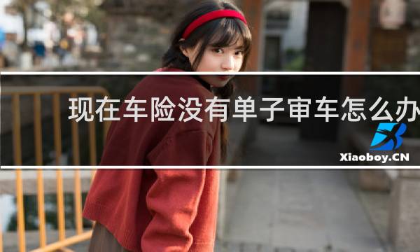 现在车险没有单子审车怎么办