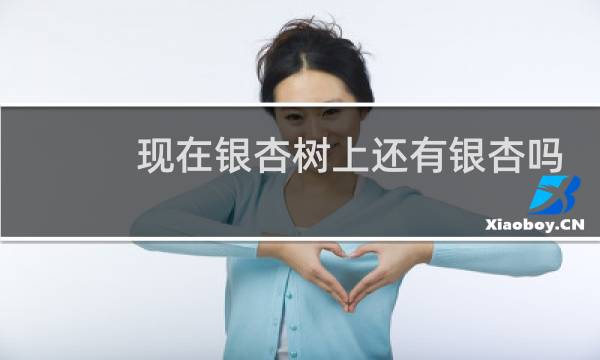 现在银杏树上还有银杏吗