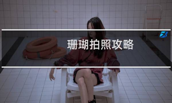 珊瑚拍照攻略