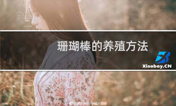 珊瑚棒的养殖方法