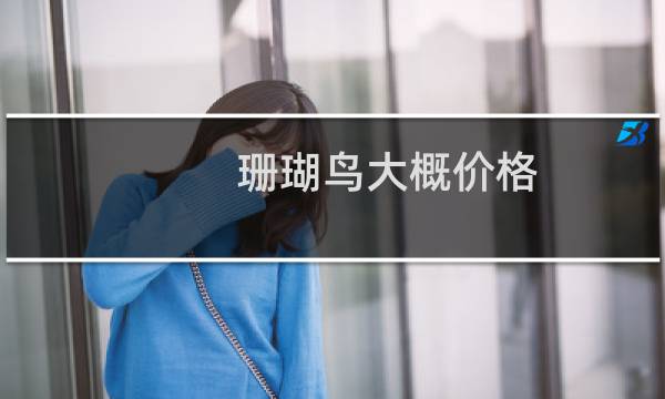 珊瑚鸟大概价格