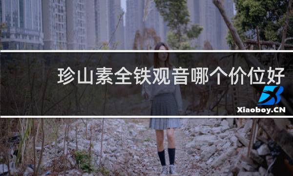 珍山素全铁观音哪个价位好