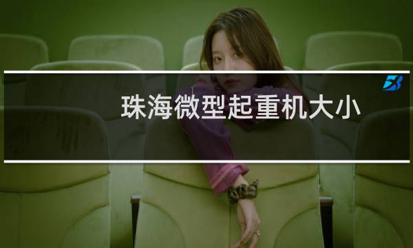 珠海微型起重机大小