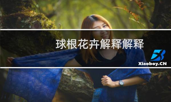 球根花卉解释解释