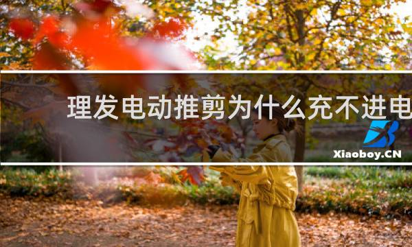 理发电动推剪为什么充不进电