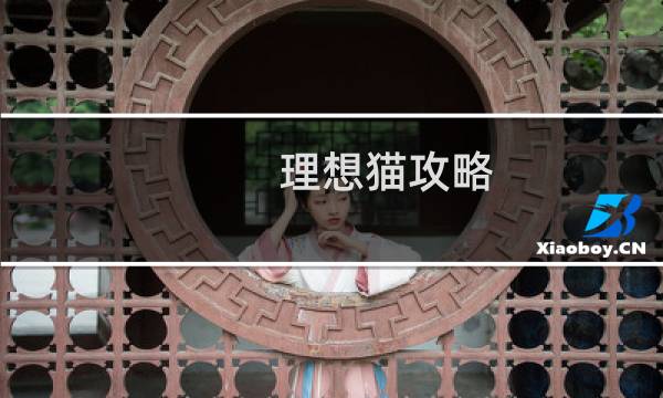 理想猫攻略
