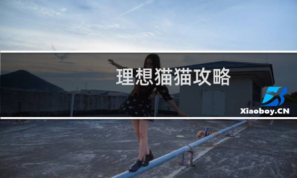 理想猫猫攻略