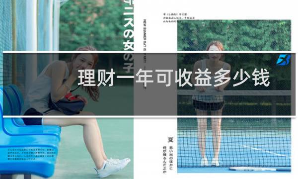 理财一年可收益多少钱