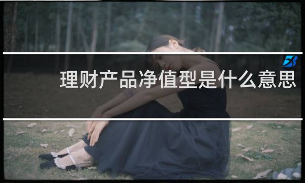 理财产品净值型是什么意思