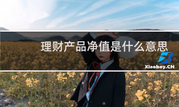 理财产品净值是什么意思