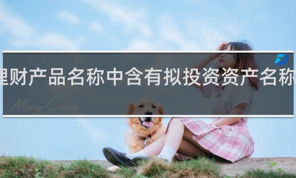 理财产品名称中含有拟投资资产名称的解释
