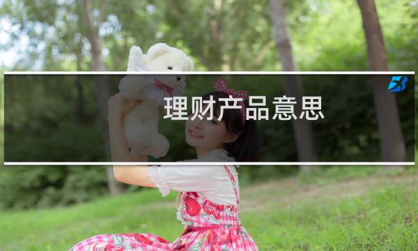理财产品意思
