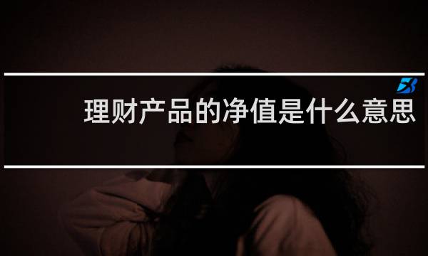 理财产品的净值是什么意思
