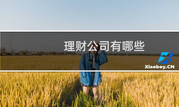 理财公司有哪些