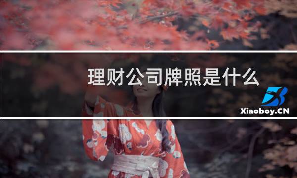 理财公司牌照是什么