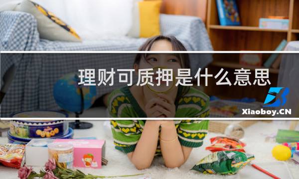 理财可质押是什么意思