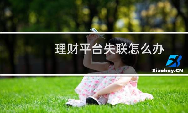 理财平台失联怎么办
