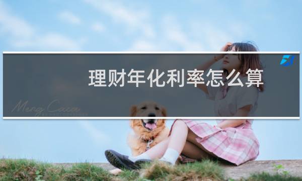 理财年化利率怎么算