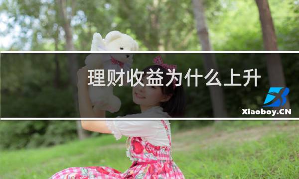 理财收益为什么上升