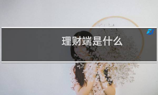 理财端是什么
