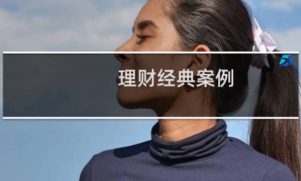 理财经典案例