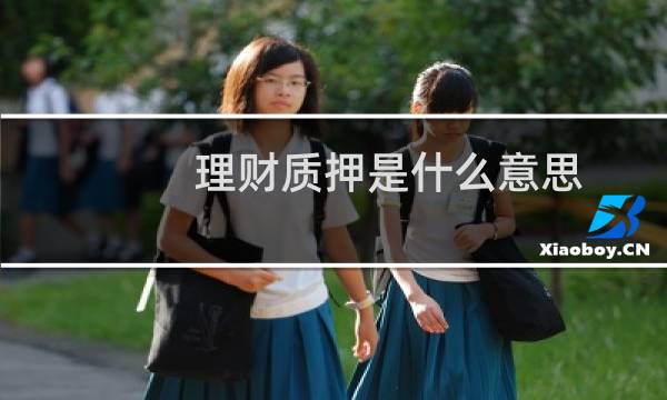 理财质押是什么意思