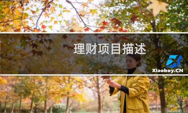 理财项目描述
