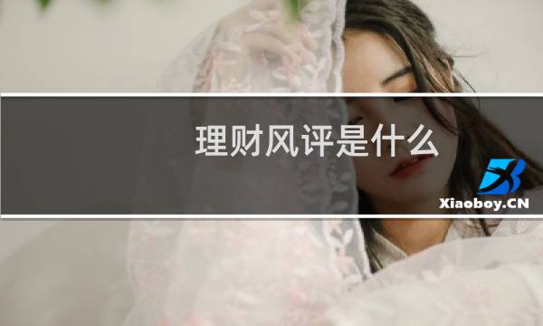 理财风评是什么