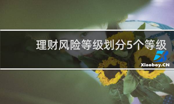 理财风险等级划分5个等级