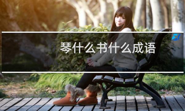 琴什么书什么成语