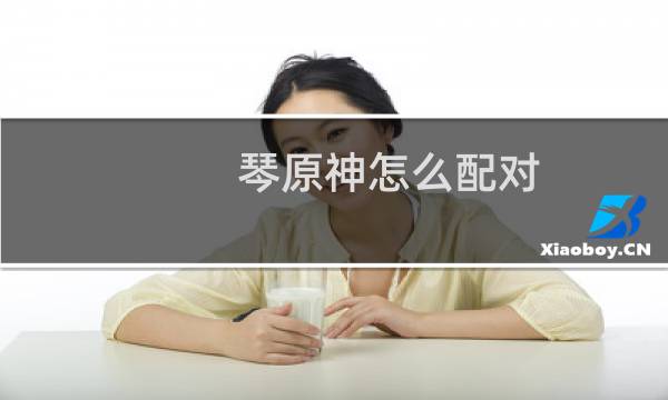 琴原神怎么配对
