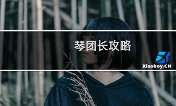 琴团长攻略