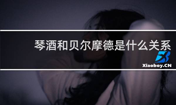 琴酒和贝尔摩德是什么关系