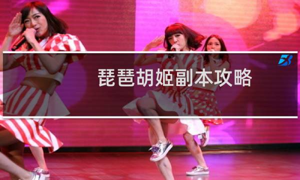 琵琶胡姬副本攻略