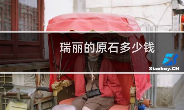 瑞丽的原石多少钱
