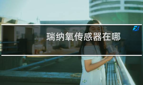 瑞纳氧传感器在哪