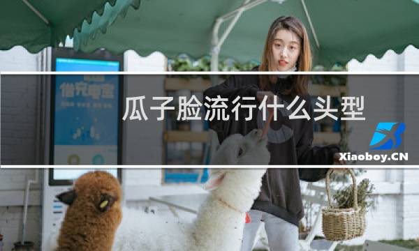 瓜子脸流行什么头型